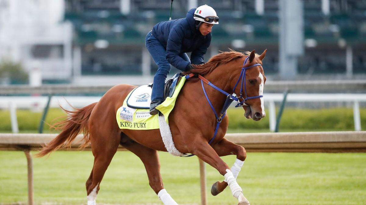 King Fury took part in morning workouts at Churchill Downs on April 23.