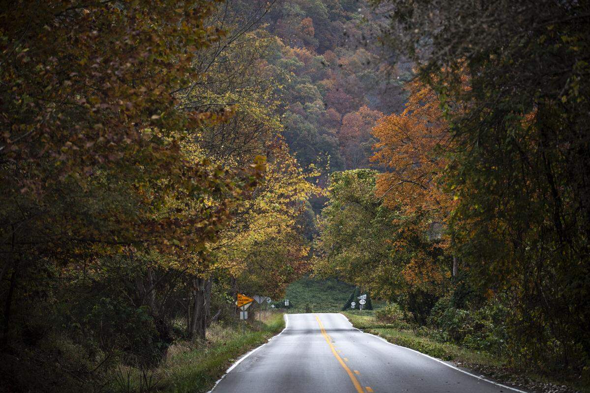 Fall colors are on display in Harlan County.