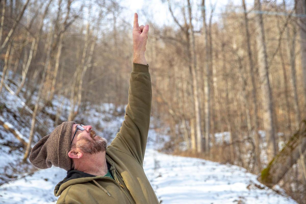 Seth Long points out the ways to identify a maple tree on his property in Letcher County, Ky., on Tuesday, Feb. 1, 2022.