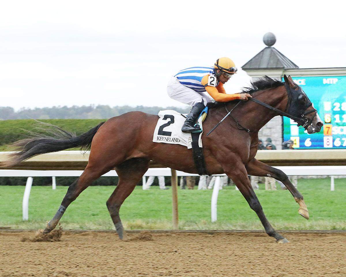 Dornoch, the 3-1 second choice in Saturday’s Blue Grass, picked up his maiden victory at Keeneland last October and has won both of his races since then.