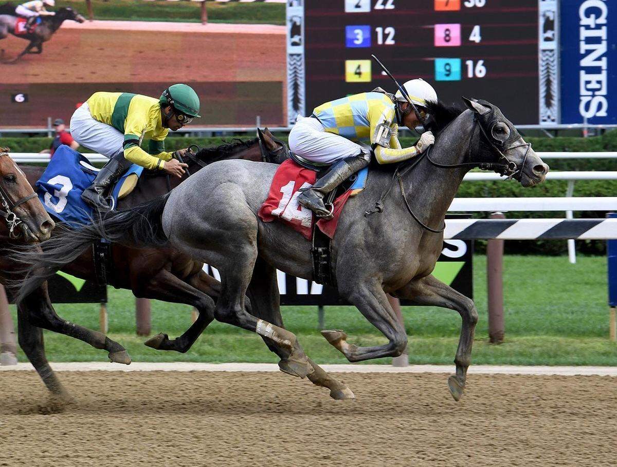 Enforceable, who has compiled 33 points on the Road to the Kentucky Derby leaderboard, is expected to be among the favorites in Saturday’s Toyota Blue Grass Stakes.