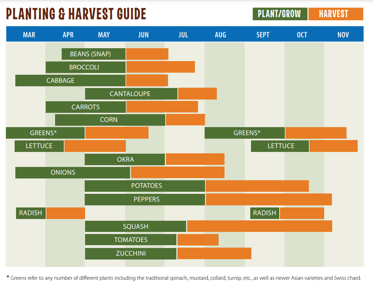 When should you plant? Check out this chart from the Kentucky Proud Kid’s Guide to Gardening in Kentucky.