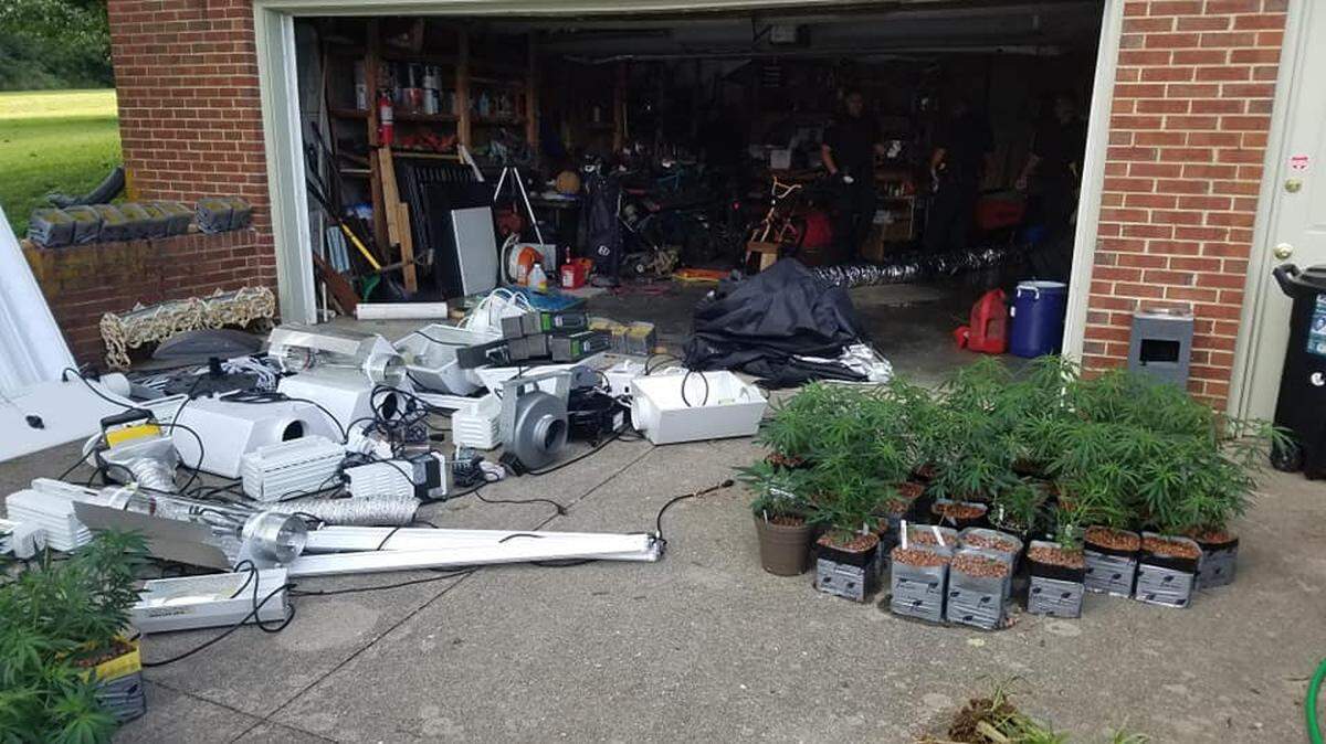 Nicholasville police and Jessamine County sheriff’s deputies executed a search warrant at a house on Brannon Road Wednesday and found about 75 marijuana plants and several pounds of processed marijuana.
