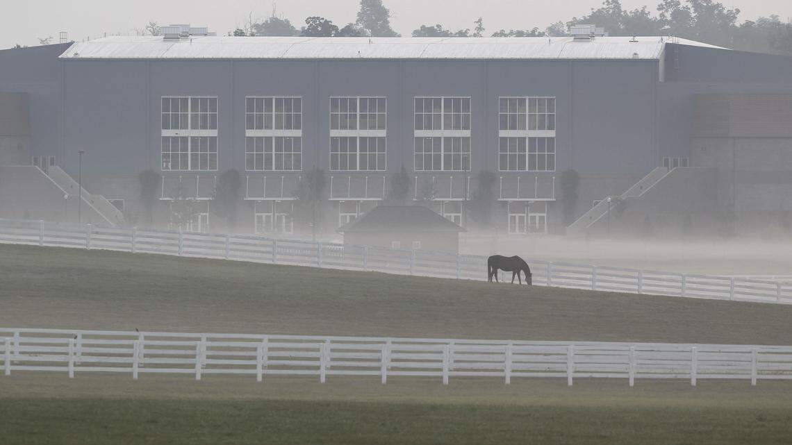 The governor's budget calls for the Kentucky Horse Park to get an additional $3.5 million this fiscal year and $1.6 million in each of the following two years to cover shortfalls resulting from construction for the World Equestrian Games, including Alltech Arena, above.  