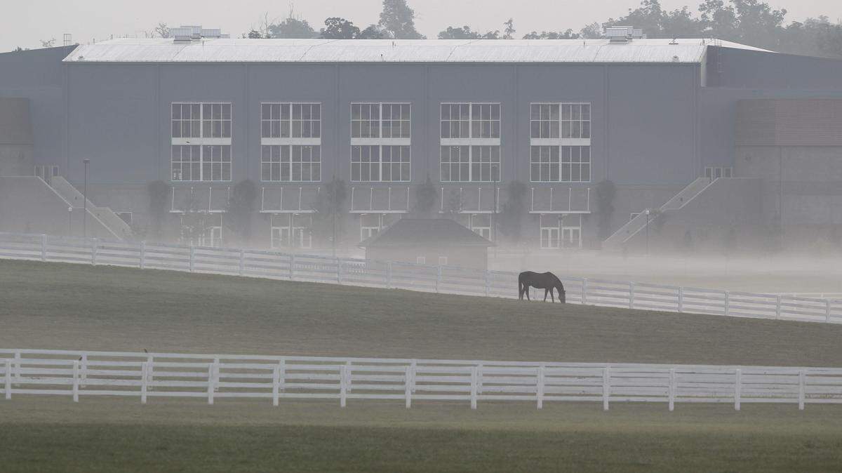 The governor's budget calls for the Kentucky Horse Park to get an additional $3.5 million this fiscal year and $1.6 million in each of the following two years to cover shortfalls resulting from construction for the World Equestrian Games, including Alltech Arena, above.  