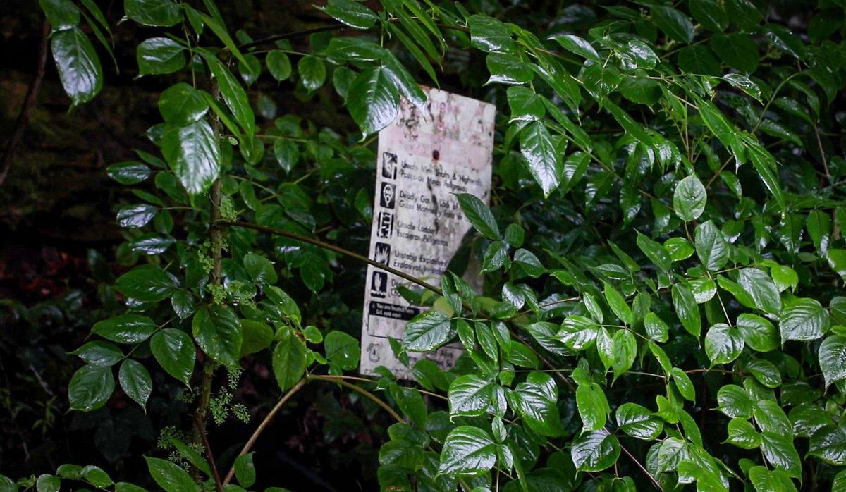 In Daniel Boone National Forest lies the remains of Mount Victory Coal Mine. A sign warns visitors not to go into the mine because of risky conditions such as steep ledges and unstable explosives.