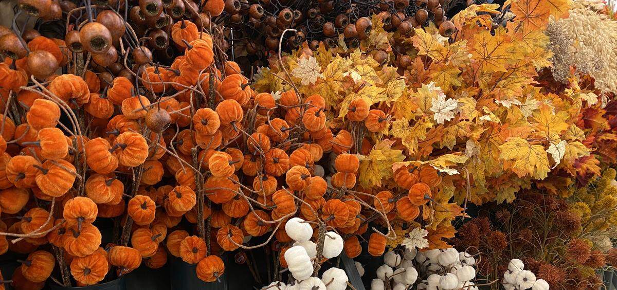 At Hobby Lobby, the arts and crafts retail chain, what’s usually two aisles of faux flowers for making interior bouquet displays has been replaced Sept. 3, 2025, with faux tree branches adorned with orange and yellow leaves and small pumpkin vines.
