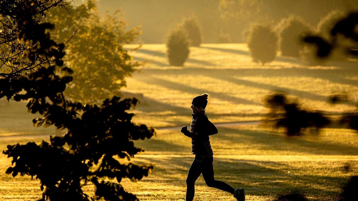 A runner gets in a morning workout at the Arboretum, State Botanical Garden of Kentucky, Tuesday, Oct. 6, 2020.
