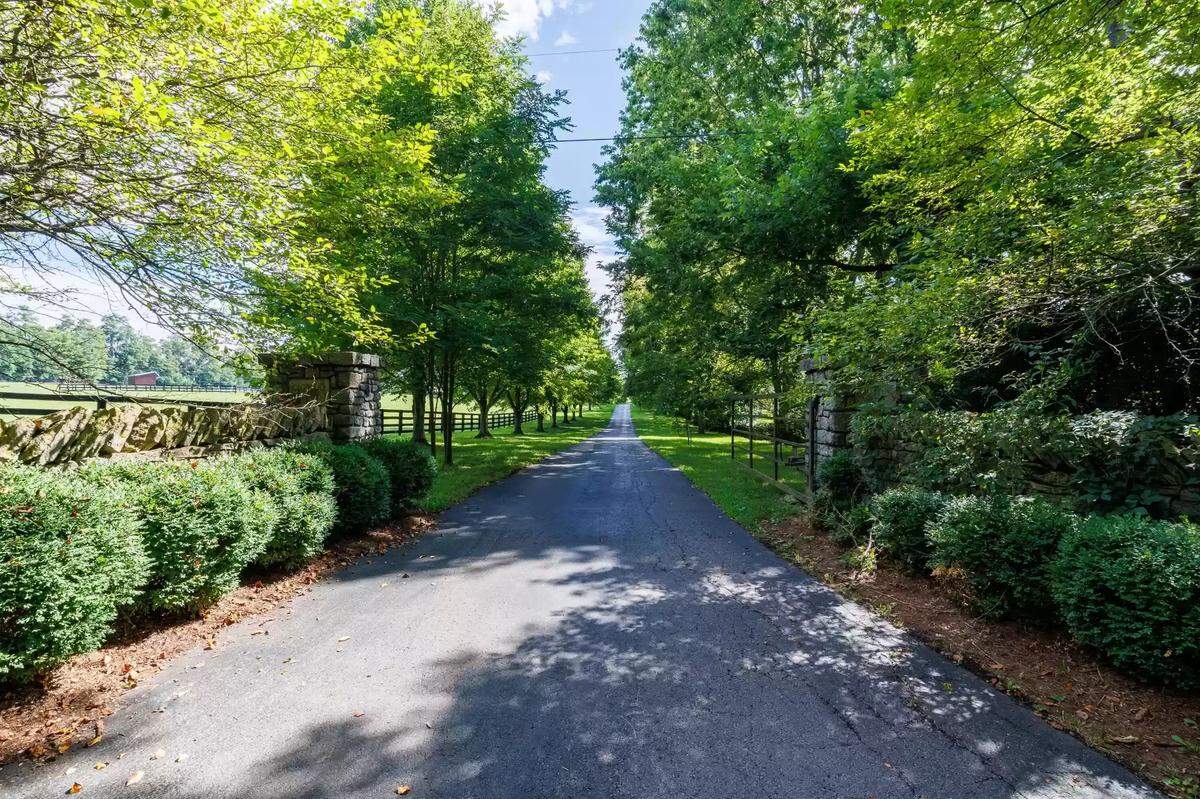 The front drive of 4351 Bethel Road in Lexington, KY. The drive is lined with leafy trees, some shrubs and low stone walls.