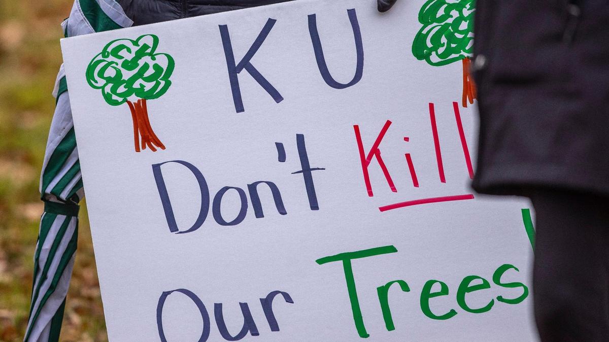 People protest as workers prepare to cut trees underneath KU utility lines along Lansdowne Drive in Lexington, Ky., on Wednesday, Dec. 1, 2021.