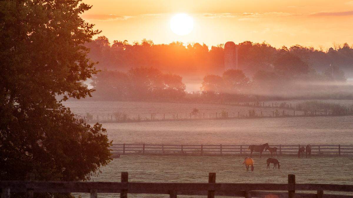 Money magazine put two Kentucky cities on its recent list of the best places to live in the U.S. this year.