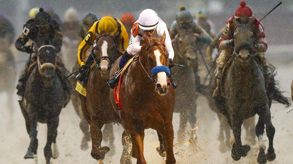 The 2024 Kentucky Derby field includes the sons of Derby winners, other top stallions