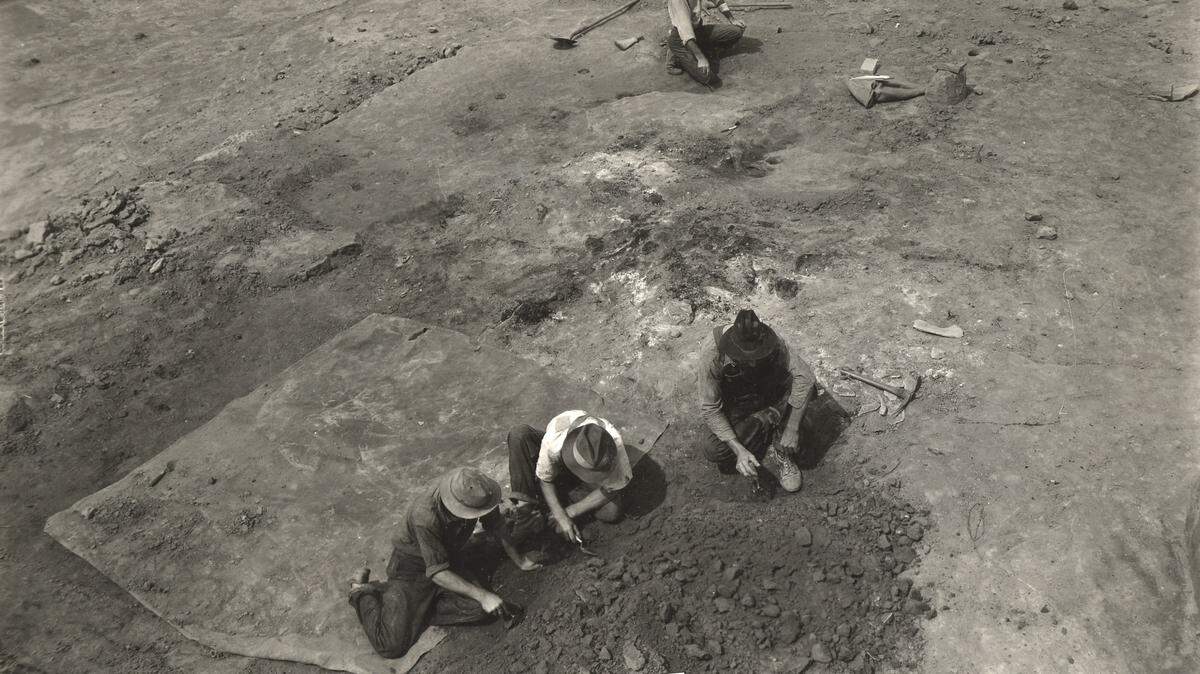 In this photo from 1938, crews with the Works Project Administration work at an archaeological site in Ohio County, Kentucky.