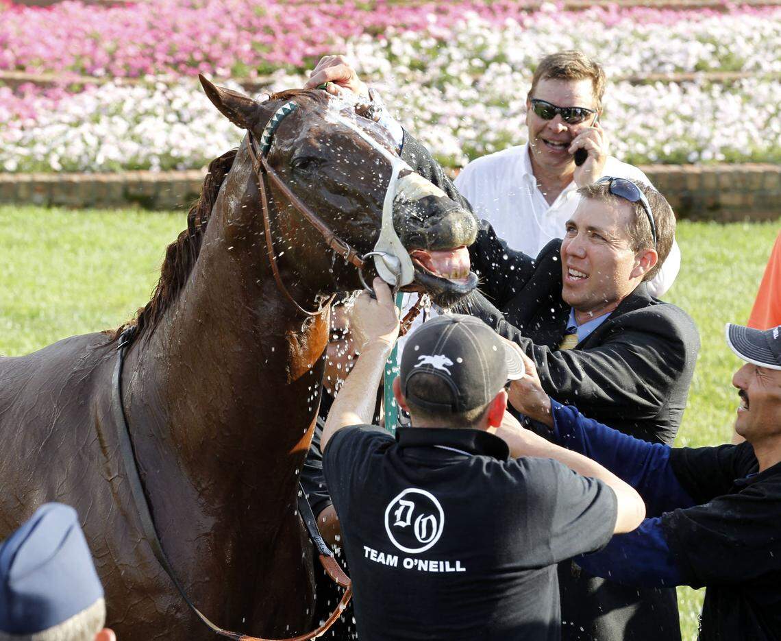 I'll Have Another was cooled down after winning the  138th running of the Kentucky Derby at Churchill Downs on May 5, 2012.