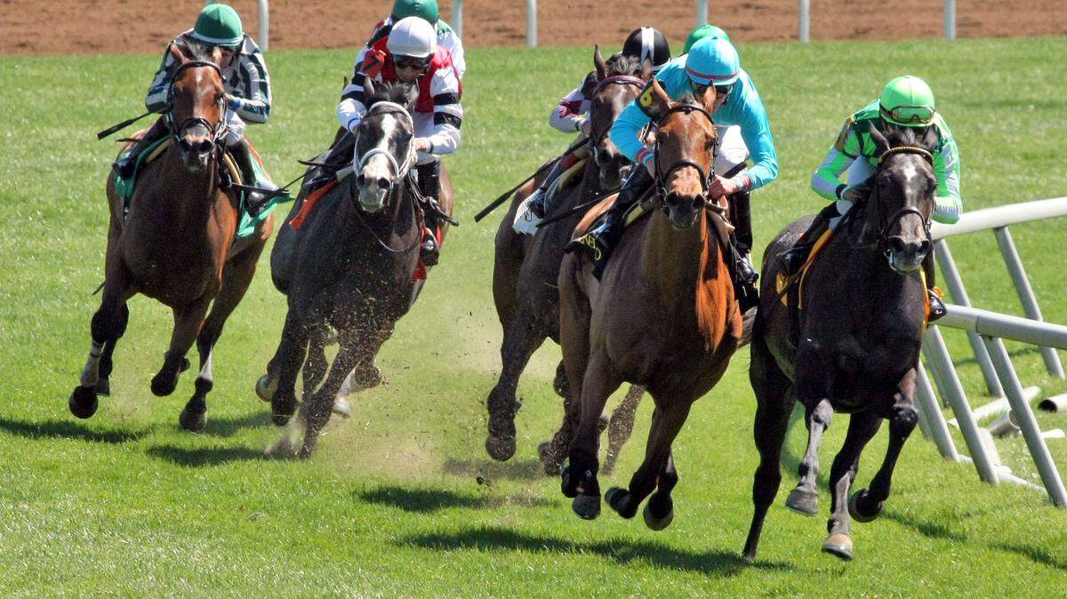 LADY ELI