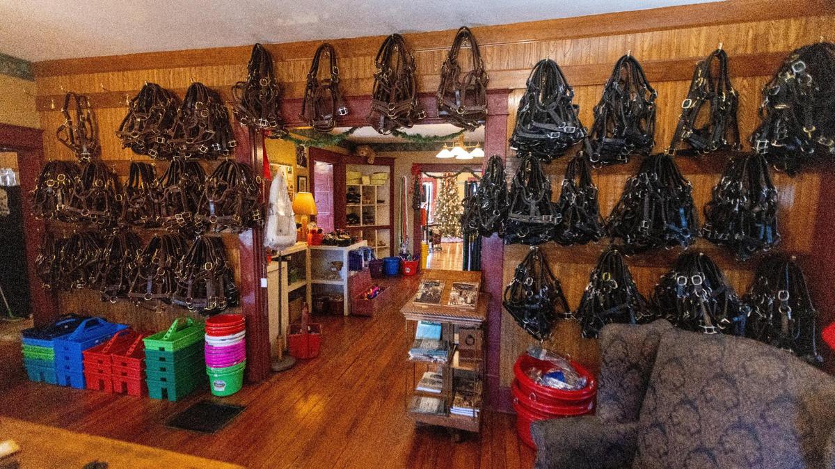 Several horse halters within the Quillin Leather & Tack retail shop in Paris, which claims to be the largest custom leather shop in the nation, Nov. 22, 2022.