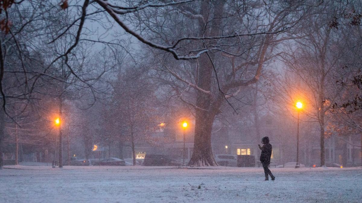 Heavy snow fell in Lexington and much of the state Wednesday night.