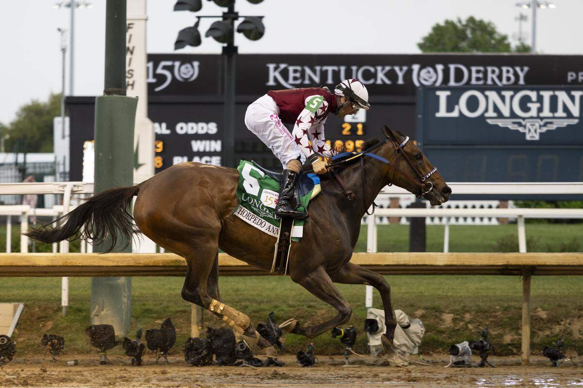 Thorpedo Anna, the 2024 Horse of the Year, will run in the Juddmonte Spinster Stakes&nbsp;on Sunday evening at Keeneland.