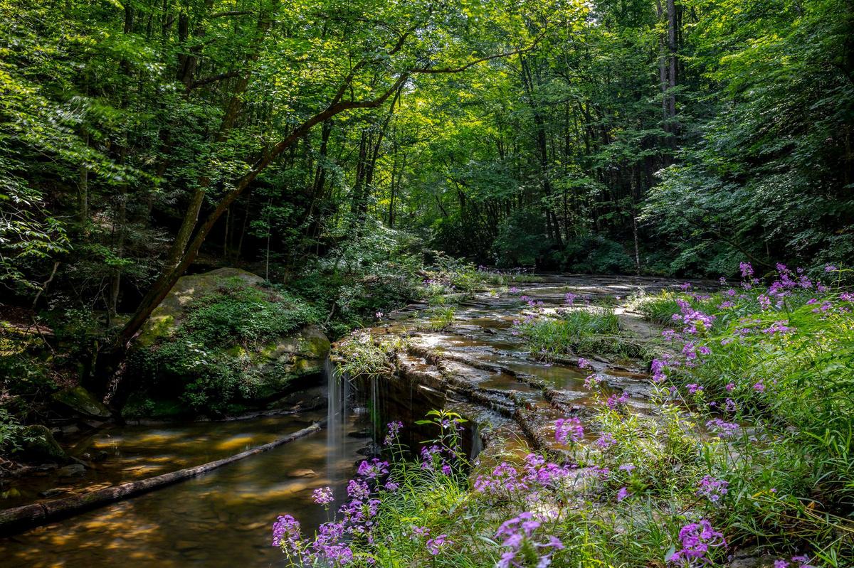 Princess Falls in McCreary County, Ky., is photographed Tuesday, July 9, 2024.