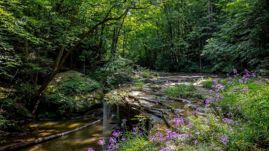 Want to make Kentucky healthy again? Try not poisoning our drinking water | Opinion