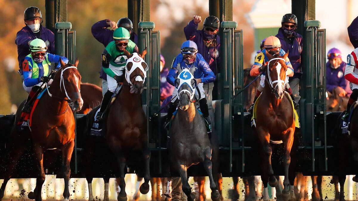Essential Quality with Luis Saez up, leaves the starting gate during the Breeders’ Cup Juvenile at Keeneland last November.