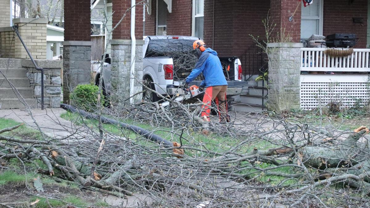 Clifton Matekovitch clears tree limbs April 3, 2024 from a downed tree on his property during after the 80 mph straight line wind storm that swept over Lexington, Ky the night before.