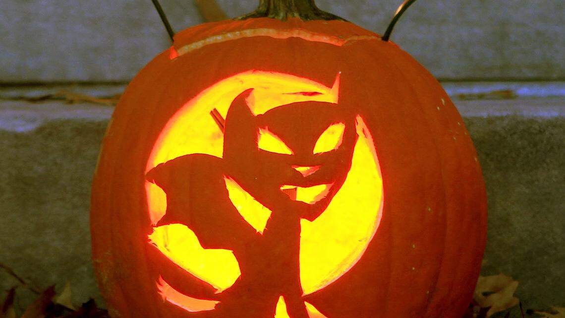 One of the pumpkins on display as part of Pumpkin Mania on the front steps of Old Morrison on the Transylvania University campus in Lexington, Ky., Monday, October 29, 2012. From the Transylvania University website-"Last year, 250 jack-o-lanterns, carved by faculty, staff, students, and members of the community, lit up the steps of Old Morrison. This year, Transylvania hopes to have even more pumpkins. The pumpkins will be lit on Friday, October 26, at 7 p.m. and remain on display through Halloween night. The university hopes the annual display will be a great way to connect with our neighbors and the Lexington community as a whole." As of this morning, the total remains about the same as last year although some jack o lanterns are still being added. Photo by Charles Bertram | Staff
