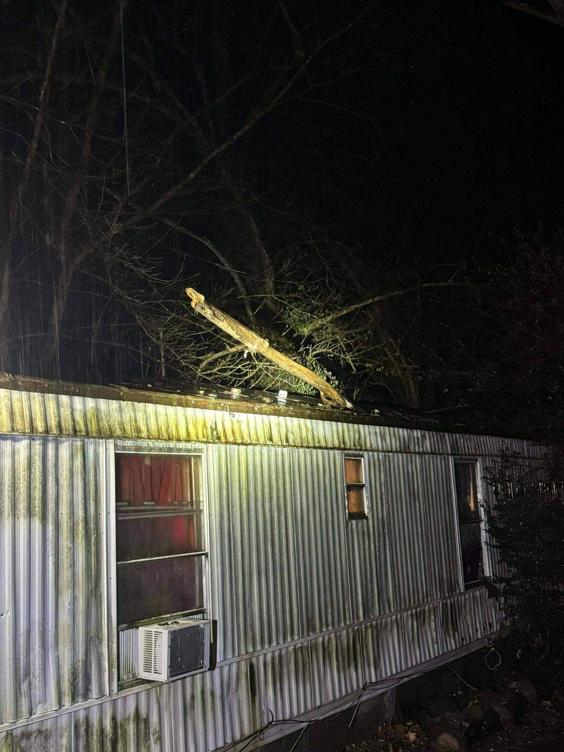 A large tree limb fell through the roof of a home on Witten Lane in Johnson County, Ky., injuring one woman.