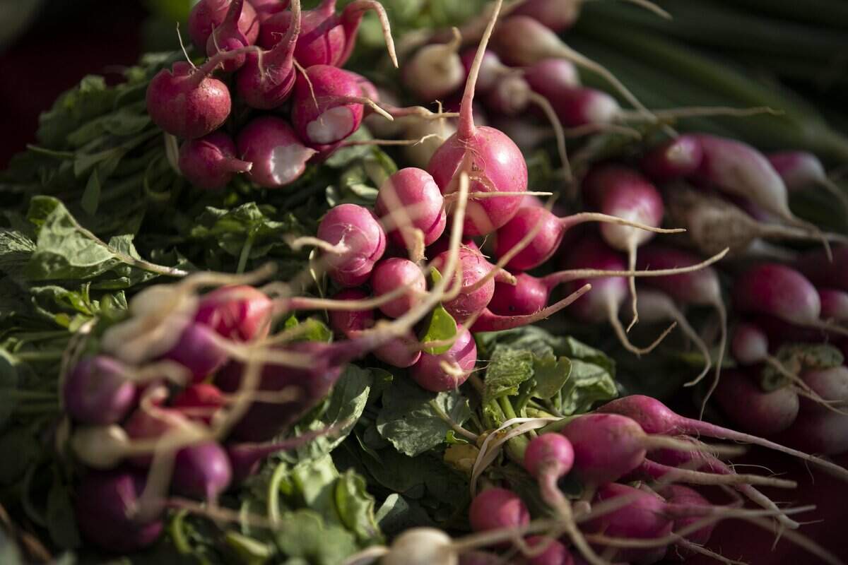 Baby radishes are offered for sale at the Stonehedge Farm Produce booth at the farmers market.