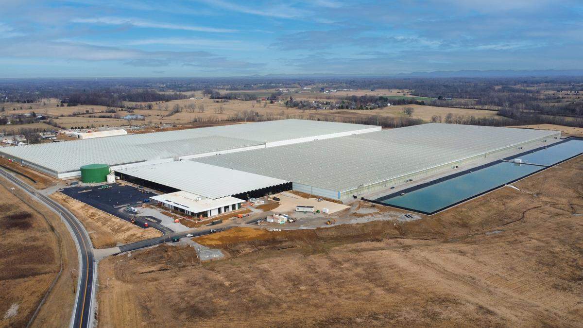 AppHarvest’s Richmond facility faces foreclosure, a court filing in Madison Circuit Court said.