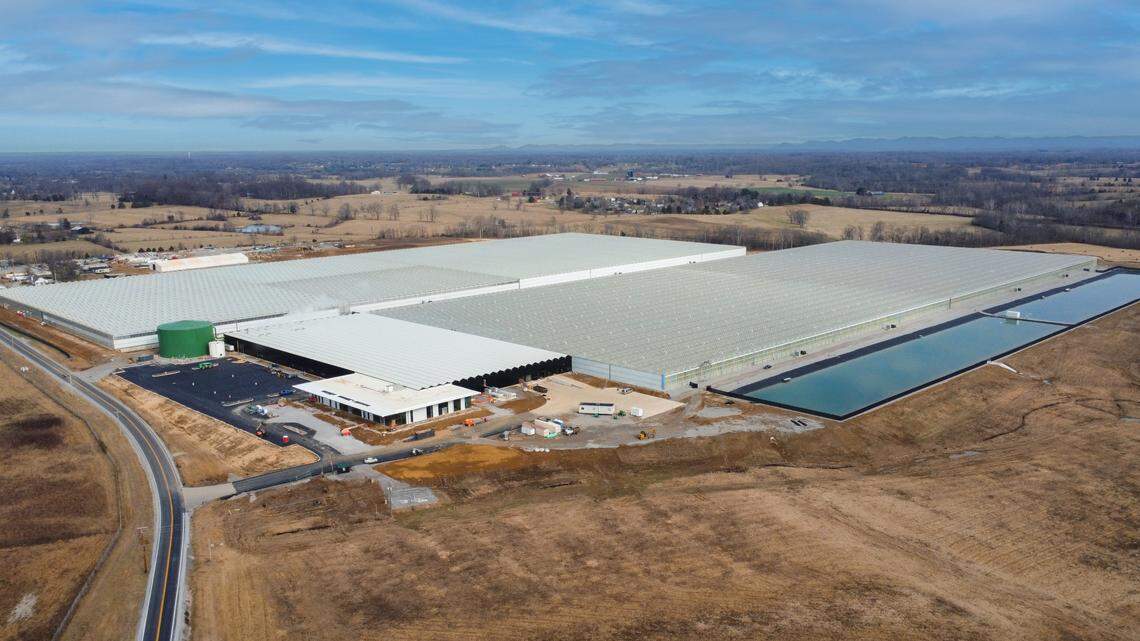 AppHarvest’s Richmond facility faces foreclosure, a court filing in Madison Circuit Court said.