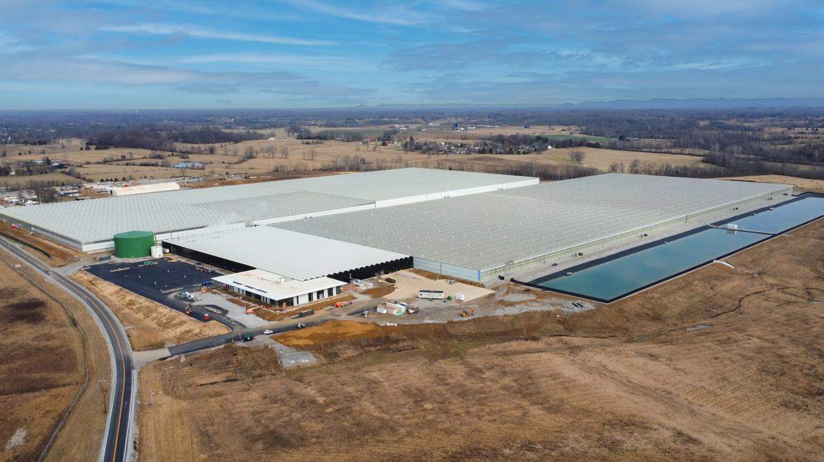 AppHarvest’s Richmond facility faces foreclosure, a court filing in Madison Circuit Court said.