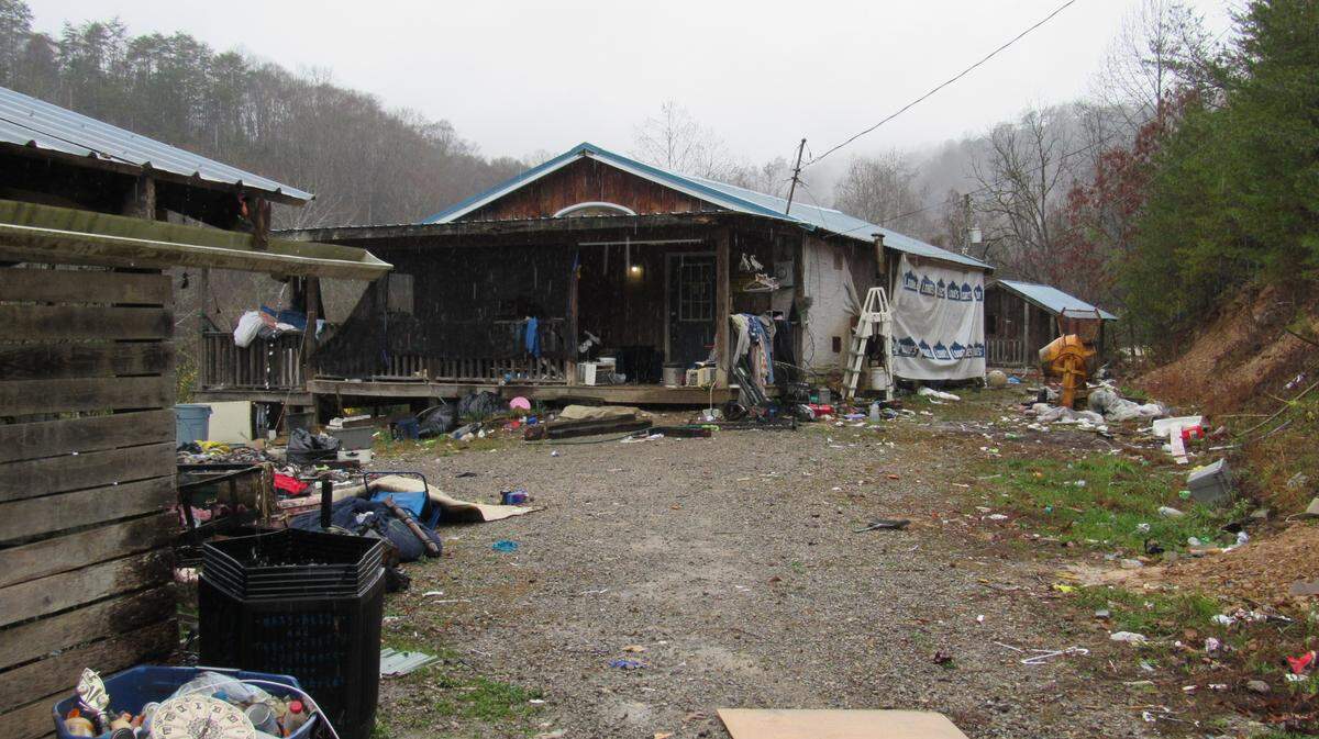 Animal-control officers removed three hungry cats and a dog from this house in Bell County in mid-October.