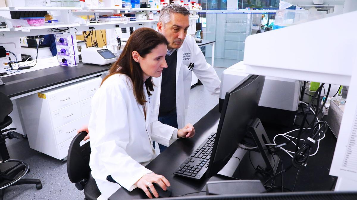 Scientists Bjoern Bauer (standing) and Anika Hartz (sitting) review lab results from test studies in the University of Kentucky’s Healthy Kentucky Research Building on November 26, 2024, in Lexington, Ky.