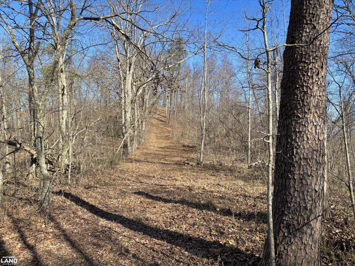 Witheniwe Farms in Lawrence County has eight miles of wooded trails that could be used for horseback riding, hiking or off-road vehicles.