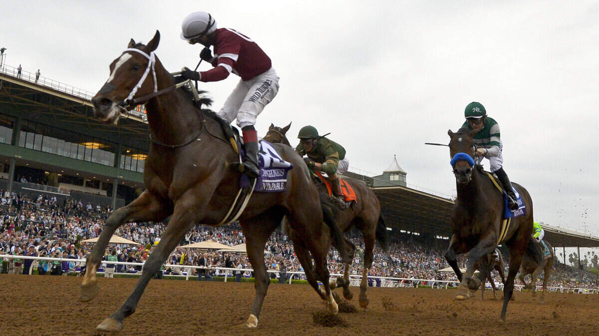 Breeders Cup Distaff Horse Racing