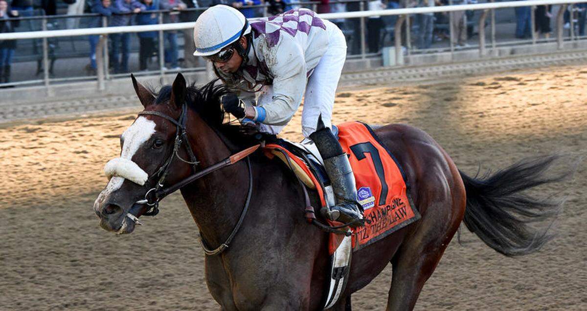 Tiz the Law has the shortest odds (8-1) of any Derby contender, according to the William Hill sportsbook.