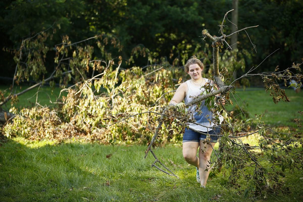 Anne-Claire Gibson, of Versailles, cleared a dead tree from her backyard on Duell Drive a week after damaging storms that downed trees and left thousands without power Friday in Versailles. 