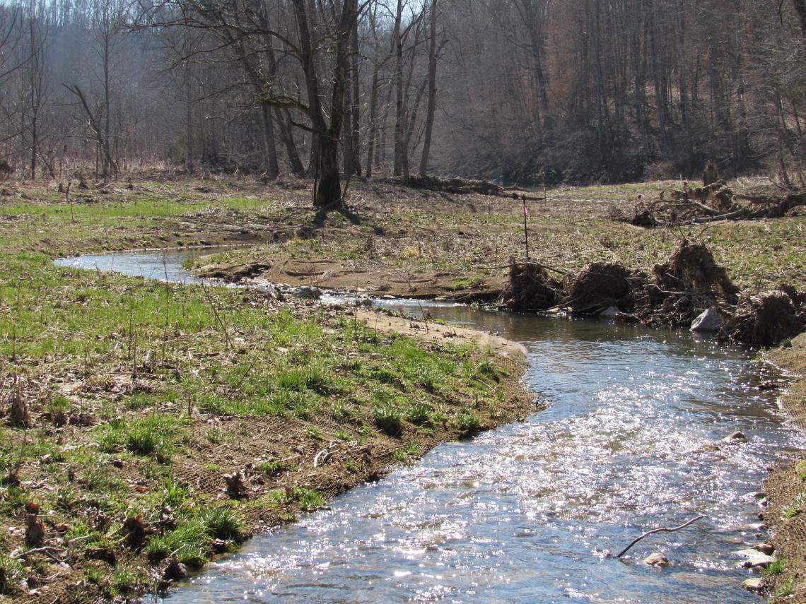 The Nature Conservancy led a project to restore the original channel of a stream in Pulaski County that flows into Buck Creek. The project will improve water quality and biodiversity.