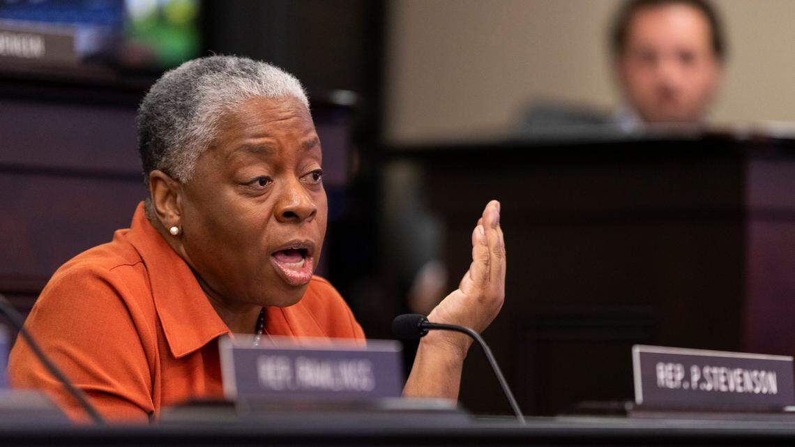 25 to watch in 2025: Rep. Pamela Stevenson hopes to lead House Dems back to relevance