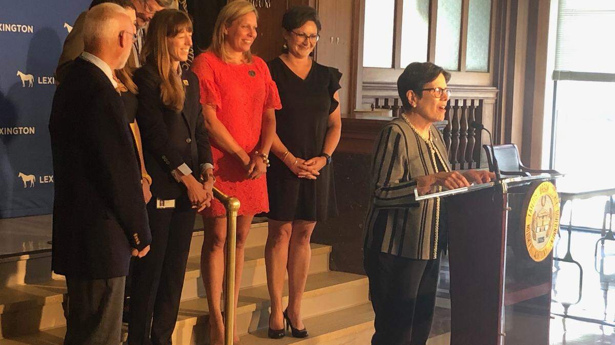 Lexington Mayor Linda Gorton and members of the Lexington-Fayette Urban County Council announce the launch of a new survey to get public input on how to spend $113 million in American Rescue Plan Act money at a press conference on July 8, 2021.