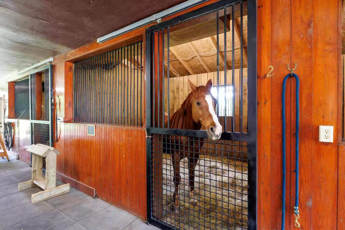 A horse pokes its head out of a stable at 4351 Bethel Road. 