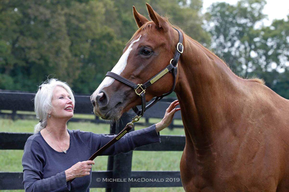 Jane Lyon, owner of Summer Wind Farm outside Georgetown, is shown with Chasing Yesterday, a half-sister to 2015 Triple Crown winner American Pharoah who was named in honor of her late husband, Frank. Jane Lyon is breeder and co-owner of the undefeated Flightline, the probable favorite for the $6 million Breeders’ Cup Classic at Keeneland on Saturday.