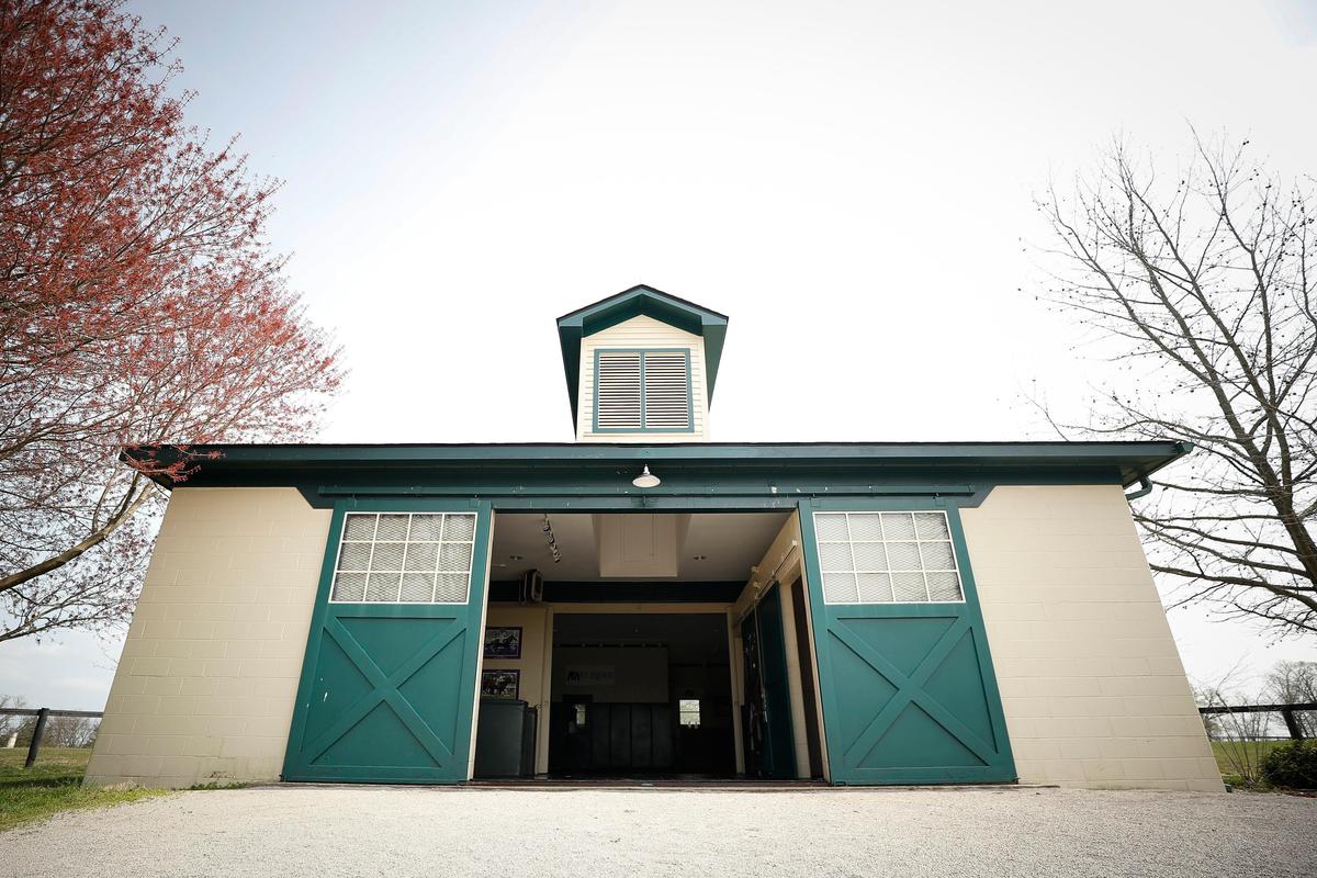 No outsiders are allowed into the breeding shed at Mill Ridge Farm, including attendants who bring in mares from other farms. Drivers wait in their vans and the farm personnel stay separate to mitigate the risk of spreading coronavirus under new guidelines from the Kentucky Department of Agriculture.