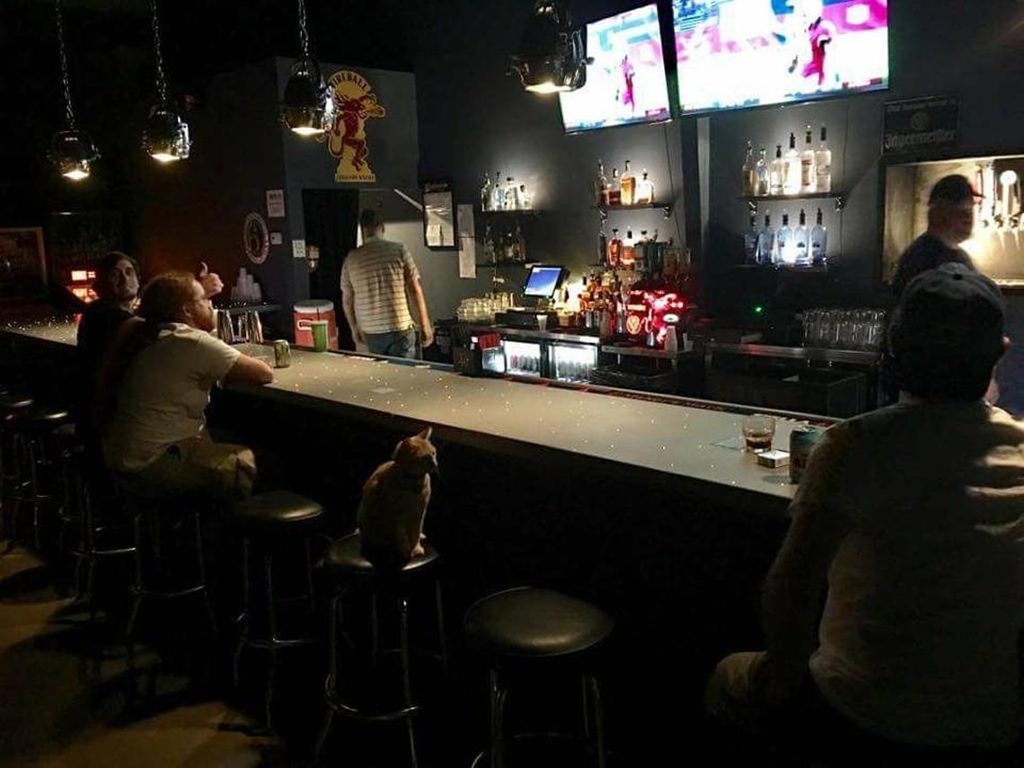 “Have a friendly cat that strolled into Cosmic Charlie’s,” posted Michael Easter on the Kenwick Neighborhood Association Facebook page. “Think it’s Cairo. He’s found a stool and content.”