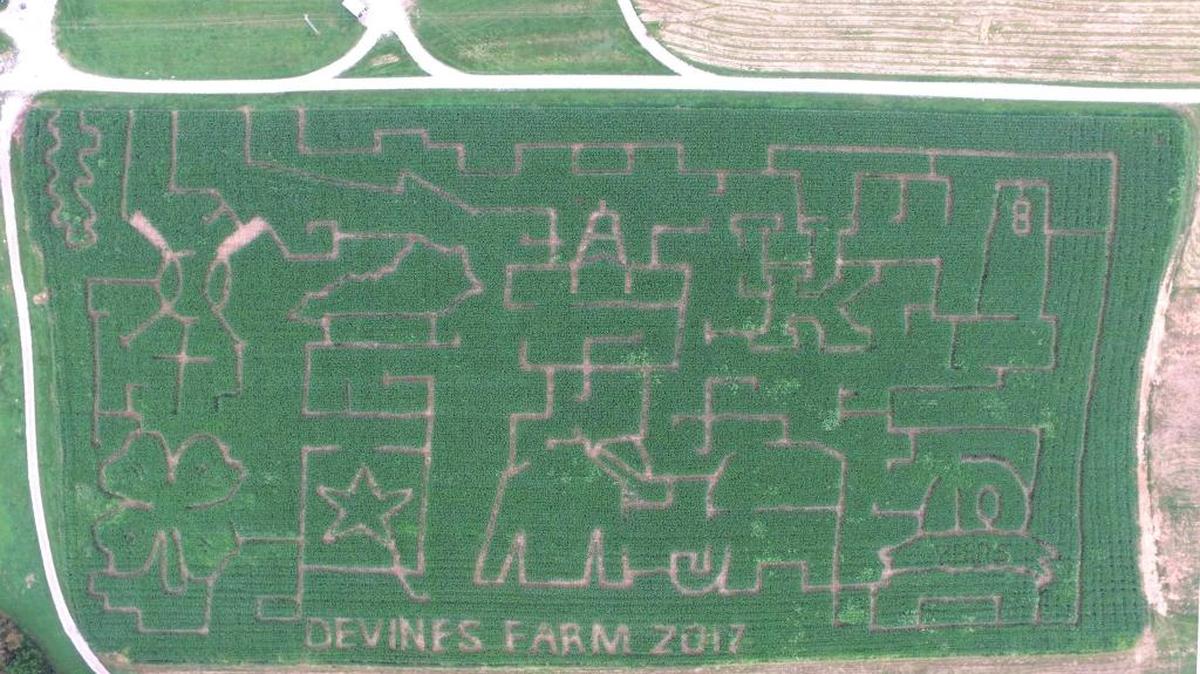 How many can you pick out? Devine’s Corn Maze this year celebrates the best of the past decade. It includes elements from previous years, including Triple Crown winner American Pharoah, the state of Kentucky, the election, UK and much more.