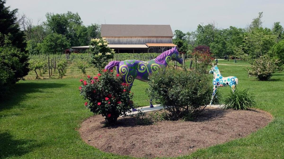 Equus Run Winery in Woodford County celebrates its 19th anniversary May 21 and launches its 2017 Tunes in the Vines series May 28.