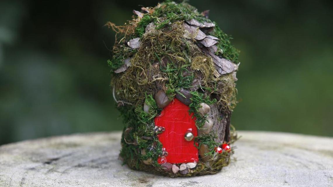 Courtney Brown made this small fairy house out of moss and pine cones. Almost all the materials come from her backyard.