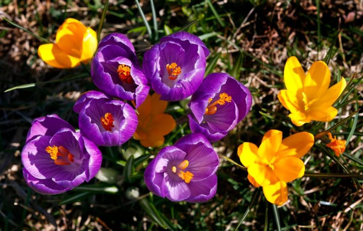 The UK Arboretum will have special activities in the Children’s Garden on April 6.