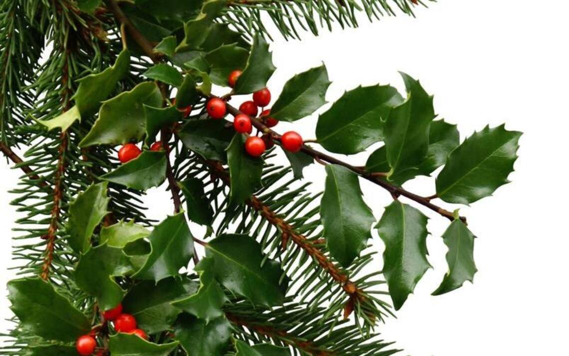 Decorate your home — after pruning your backyard